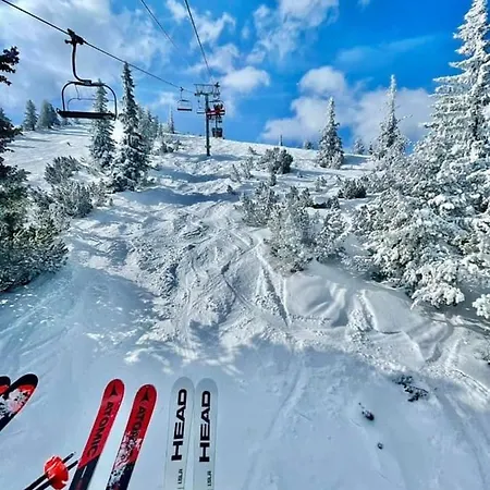 Hills Boro Boro 35m2 *