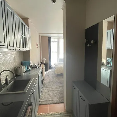 Hills Boro Boro 35m2 Боровец